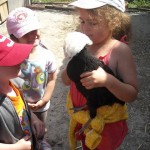 enfant poule