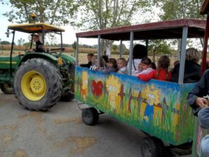 petit train de la ferme